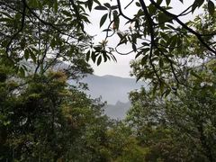 -雁荡山三折瀑景区