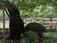 -秋霞圃