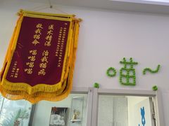 -纳吉亚猫专科动物医院·北北分院