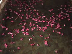 -北京美神宫艺术主题温泉酒店