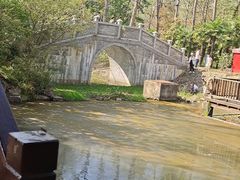 -合肥滨湖国家森林公园