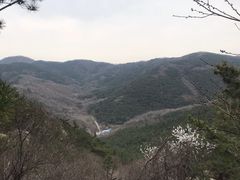 -金龙寺国家森林公园