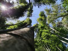-公盂村