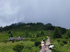 -白草畔自然风景区