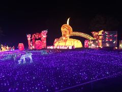 -杭州湾海上花田景区