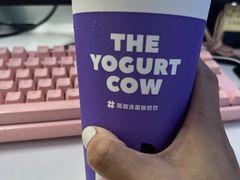 -一只酸奶牛(奎星楼店)