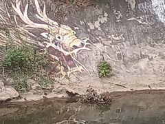 -龙佳生态温泉山庄