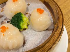 虾饺-喜粤糖朝餐厅(三八广场店)