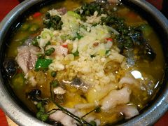 -鑫日千里马朝鲜族小馆(总店)