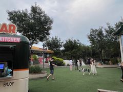 -爪吧宠物乐园 (温榆河示范区店)