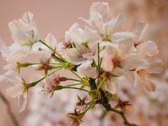 -上海南浦大桥长途旅游客运站
