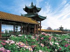-曹州百花园