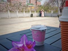 -华农酸奶文化馆