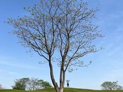 -盘龙城国家考古遗址公园