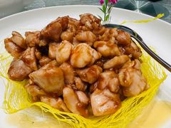 -丁老爷子苏香圆