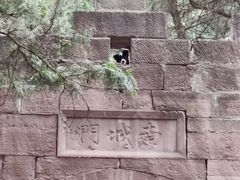 -金堂县云顶石城风景区