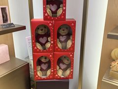 -GODIVA(王府井apm店)