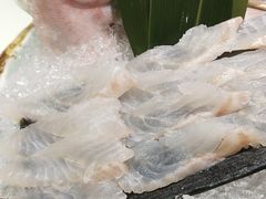 -鲤·鮨KOISUSHI