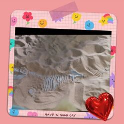 -恐龙探索乐园(磁器口店)