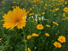 -尚贤河湿地