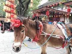 -深圳锦绣中华民俗村