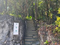 -深圳仙湖植物园