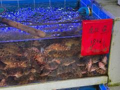 -金海湾海鲜排档(朱家尖店)