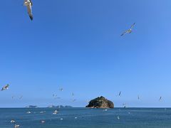 -棒棰岛宾馆景区
