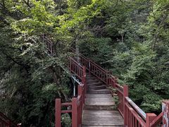 -陕西省红河谷森林公园