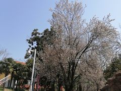 -太子山公园(园东路)