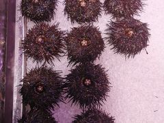 -十二海鲜(南湖店)