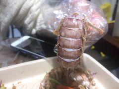 -盒马鲜生(杭州运河上街店)