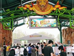 -苏州乐园森林水世界