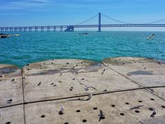 -星海湾跨海大桥