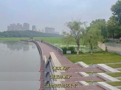 -月湖风景区