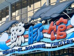 -海合安成都极地海洋公园