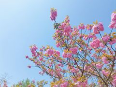 -三国赤壁古战场