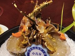 -东海怡品海鲜豆捞(舟宿夜江店)