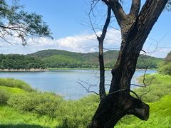-萨尔浒风景区