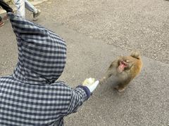 -黔灵山公园-南门售票处