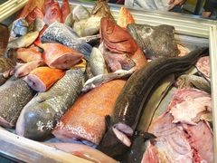 -金砂阿洲鱼册店