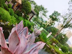 -熙古里艺术村