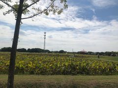 -嘉北郊野公园