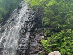 -龙道沟景区