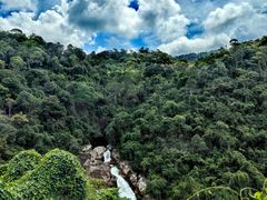 -海南热带雨林国家公园吊罗山景区
