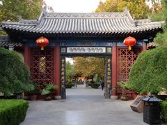 -大槐树寻根祭祖园