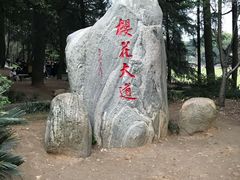 -武汉大学-樱园