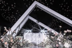 -西安威斯汀大酒店·宴会厅