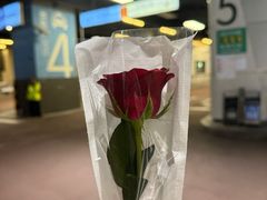 -LESCEDARS Brasserie Bistro香柏树