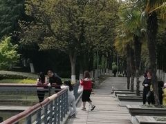 -白塘生态植物园